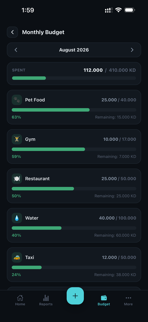 Sparings monthly budget screenshot